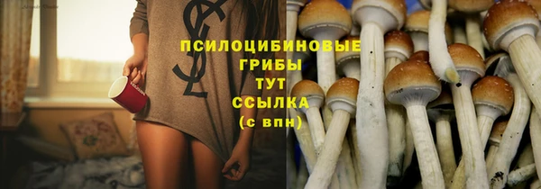 дмт Аркадак