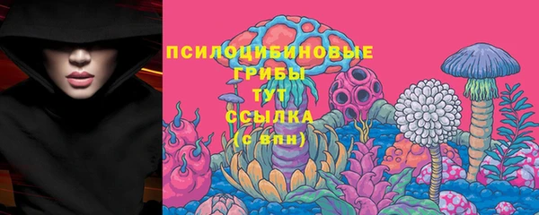 ECSTASY Алексин