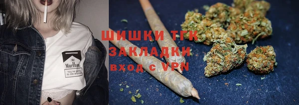 сатива Армянск