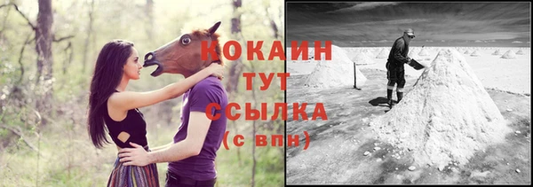 сатива Армянск