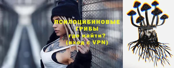 дмт Аркадак
